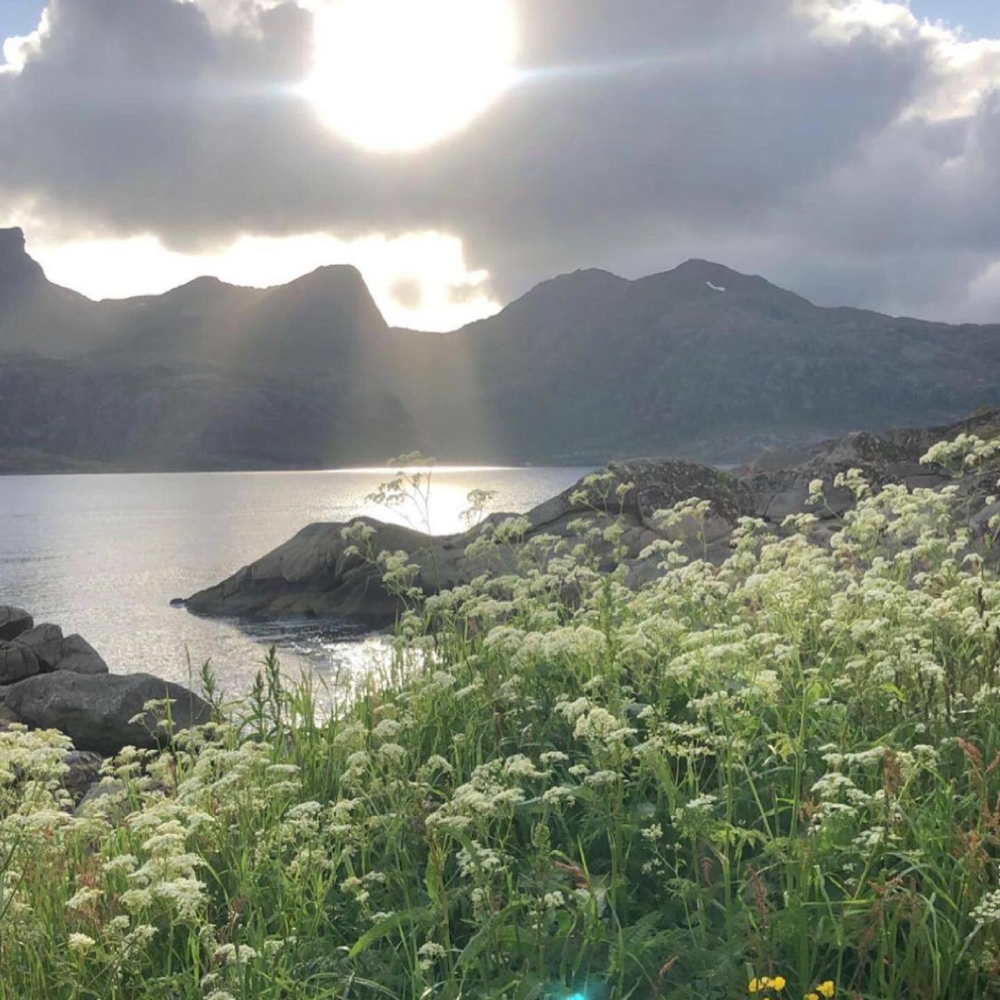 Vettinghytta, Close To The Sea With Amazing View. Gravdal  Exterior photo